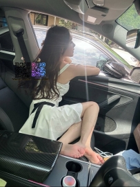 #新竹  櫻櫻 166.C.47.23歲